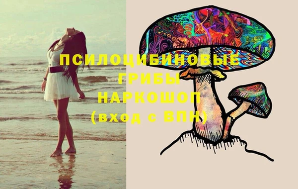 МДПВ Барнаул