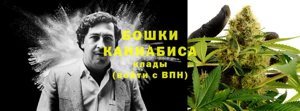 МДПВ Барнаул