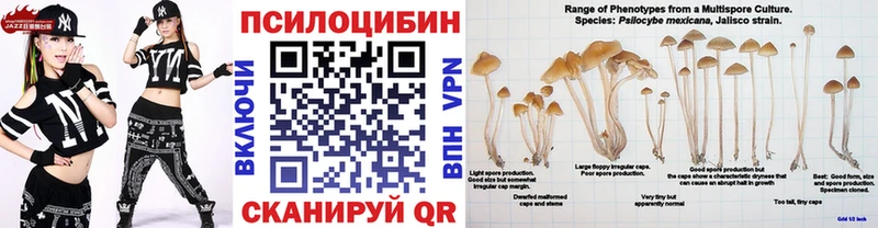mega вход купить наркотики цена Первоуральск Галлюциногенные грибы мухоморы